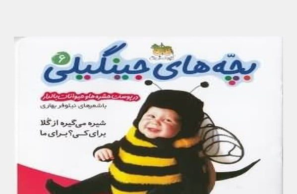 جینگیلی6 جینگیلی6