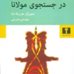 در جستجوی مولانا