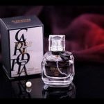 عطر زنانه ایو سن لوران مون پاریس برند کالکشن کد 092 (Yves Saint Laurent Mon Paris)