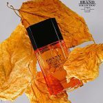 عطر مردانه آزارو پورهوم برند کالکشن کد 175 (Azzaro pour Homme) حجم 25 میل