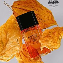 عطر مردانه آزارو پورهوم برند کالکشن کد 175 (Azzaro pour Homme) حجم 25 میل