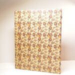 دفتر کلاسوری 100 برگ 26 حلقه ی سلفونی دوکا