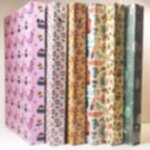 دفتر کلاسوری 100 برگ 26 حلقه ی سلفونی دوکا