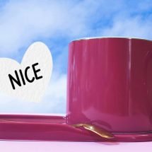 فنجان سرامیکی LIFE کد 26 - 1300