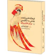 رمان فرهنگ فشرده ی لغات چینی به انگلیسی برای عشاق