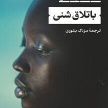 رمان باتلاق شنی