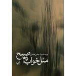 کتاب مثل خواب دم صبح