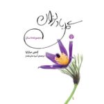 مجموعه داستانی گل بادلرزان