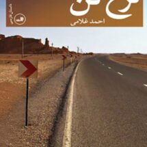 داستان نرخ تن