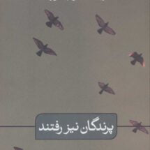 داستان پرندگان نیز رفتند