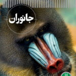 کتاب جانوران - شاهد عینی