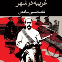 رمان غریبه در شهر