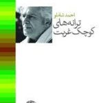 کتاب ترانه های کوچک غربت