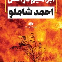 کتاب ابراهیم در آتش