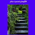 روانشناسی کمال