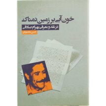 کتاب خون آبی بر زمین نمناک - در نقد و معرفی بهرام صادقی