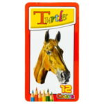 مداد رنگی 12 رنگ جلد فلزی Turtle