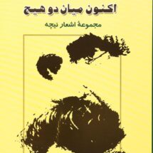 کتاب اکنون میان دو هیچ