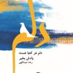 دلم هر کجا هست یادش بخیر