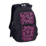 کوله پشتی پالس کد 120752