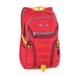 کوله پشتی پالس کد 120985