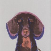 کتاب نامه به سگم