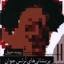 رمان پریشانی های ترلس جوان