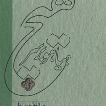 کتاب هیاهو بر سر هیچ