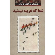 رمان شما که غریبه نیستید