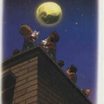 رمان مثل ماه شب چهارده