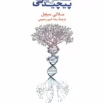 سیری در نظریهٔ پیچیدگی