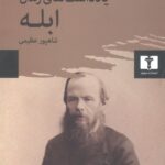 کتاب یادداشت های رمان ابله