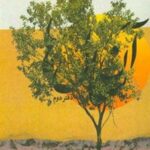 آن سال‌ها: یادهای جوانی و سال‌های دانشجویی