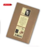 کتاب دیوانگی در بروکلین