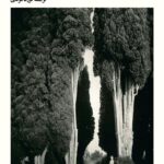 کتاب روز رهایی