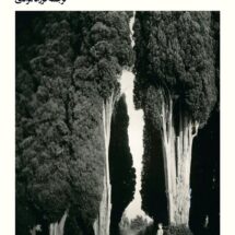 کتاب روز رهایی