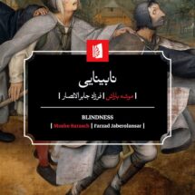 کتاب نابینایی