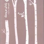 کتاب زندان عروسک