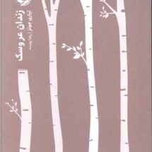 کتاب زندان عروسک