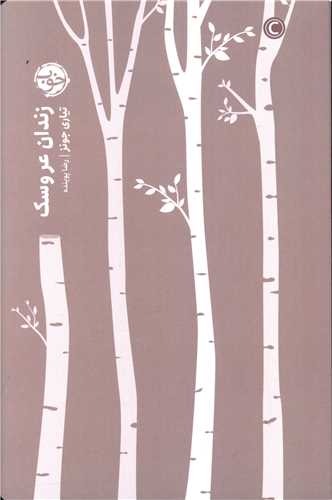 کتاب زندان عروسک کتاب زندان عروسک