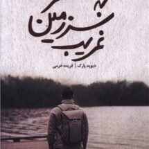 کتاب سفر به سرزمین غریب