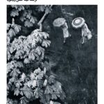 کتاب آن قدر سرد که برف ببارد