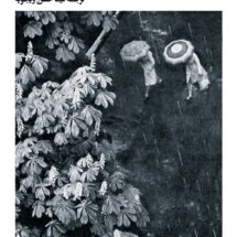 کتاب آن قدر سرد که برف ببارد