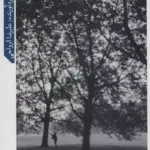 کتاب کامران شیردل؛ تنها در قاب