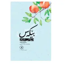 کتاب دیوانی شعر بیکه س