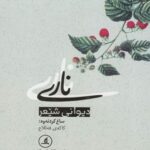 کتاب دیوانی شیعر ناری