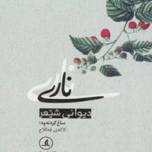 کتاب دیوانی شیعر ناری