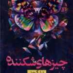 کتاب چیزهای شکننده