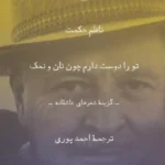 کتاب تو را دوست دارم چون نان و نمک (گزینه ی شعرهای عاشقانه)