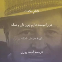 کتاب تو را دوست دارم چون نان و نمک (گزینه ی شعرهای عاشقانه)